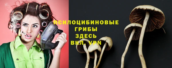 MDMA Premium VHQ Няндома