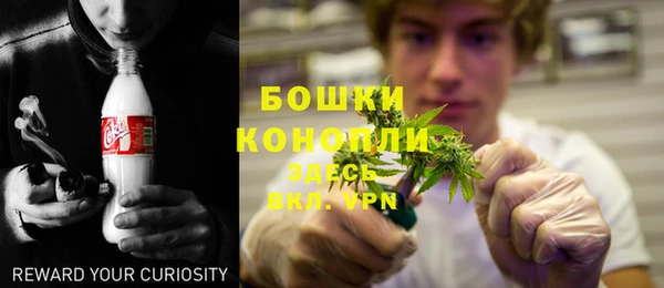 бошки Новодвинск