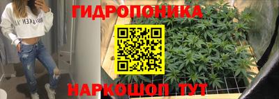 мдпв Донской