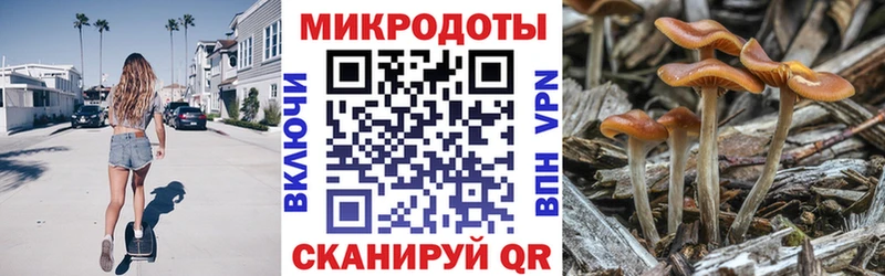 Псилоцибиновые грибы мицелий  OMG зеркало  Красноармейск  магазин продажи  