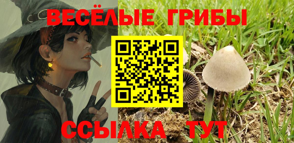 Галлюциногенные грибы Magic Shrooms Красноармейск