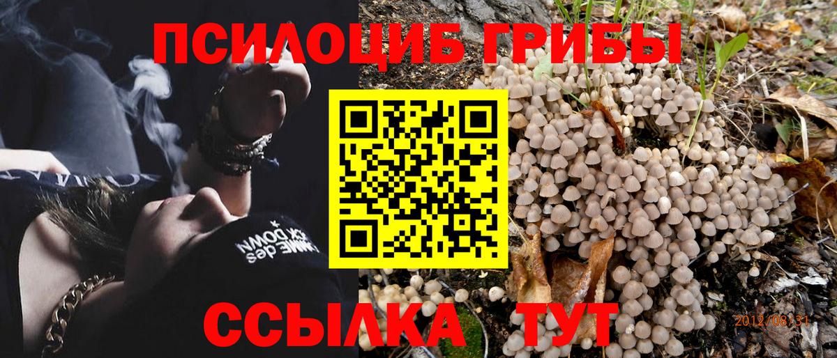 даркнет сайт  Вход с VPN  Красноармейск  Псилоцибиновые грибы Psilocybine cubensis 